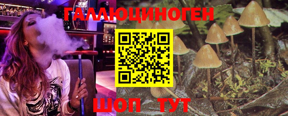Галлюциногенные грибы Cubensis  Вход с VPN  Туймазы 